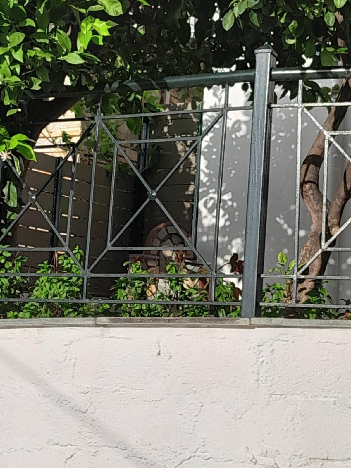 Vila Πηλιο- Το Εξοχικο Τησ Αννασ- Αφησσοσ Áfissos Exteriér fotografie